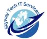 Skyway Tech